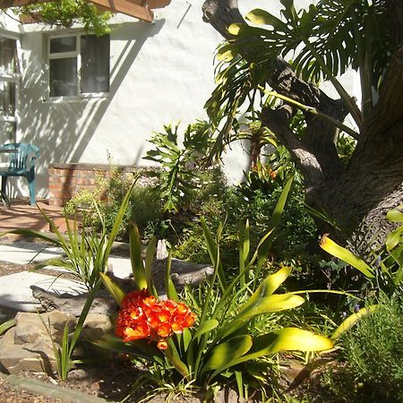 Be My Guest Lodge Bloubergstrand Kamer foto