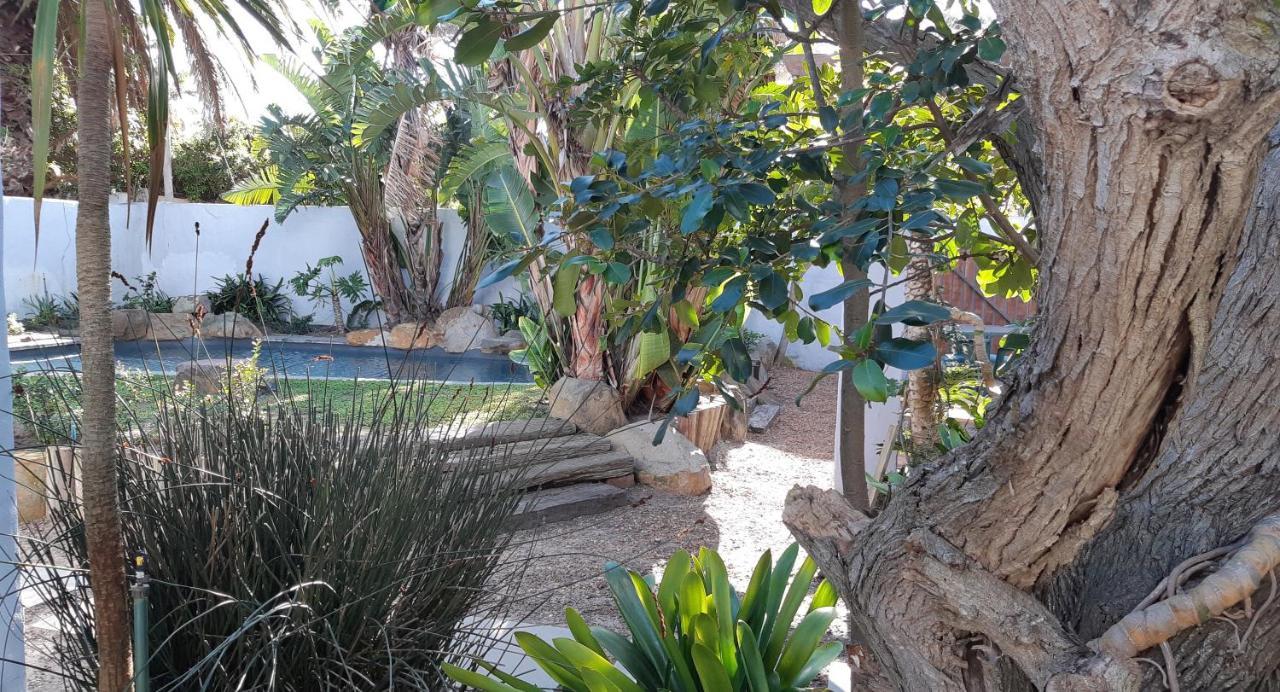 Be My Guest Lodge Bloubergstrand Buitenkant foto